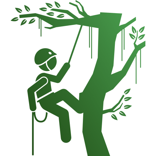 Tree Care and Maintenance